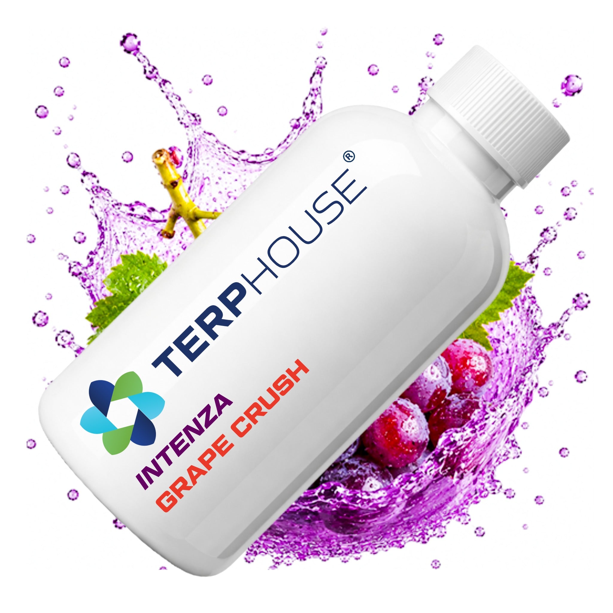 Grape Crush INTENZA Terpene von TERPHOUSE