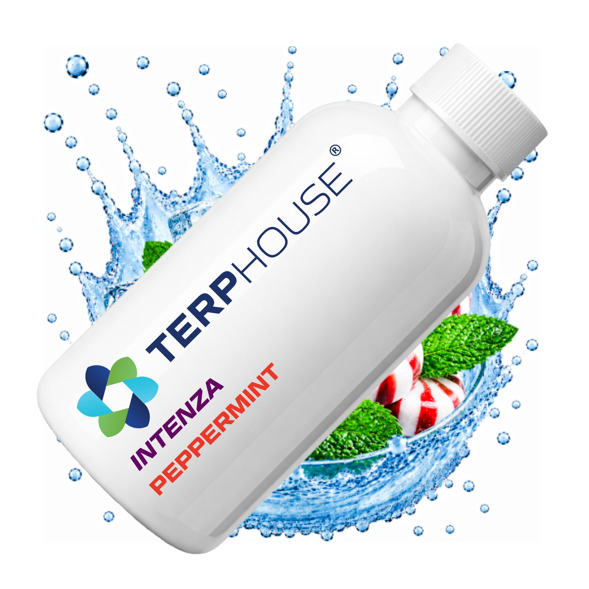 Peppermint INTENZA Terpene von TERPHOUSE