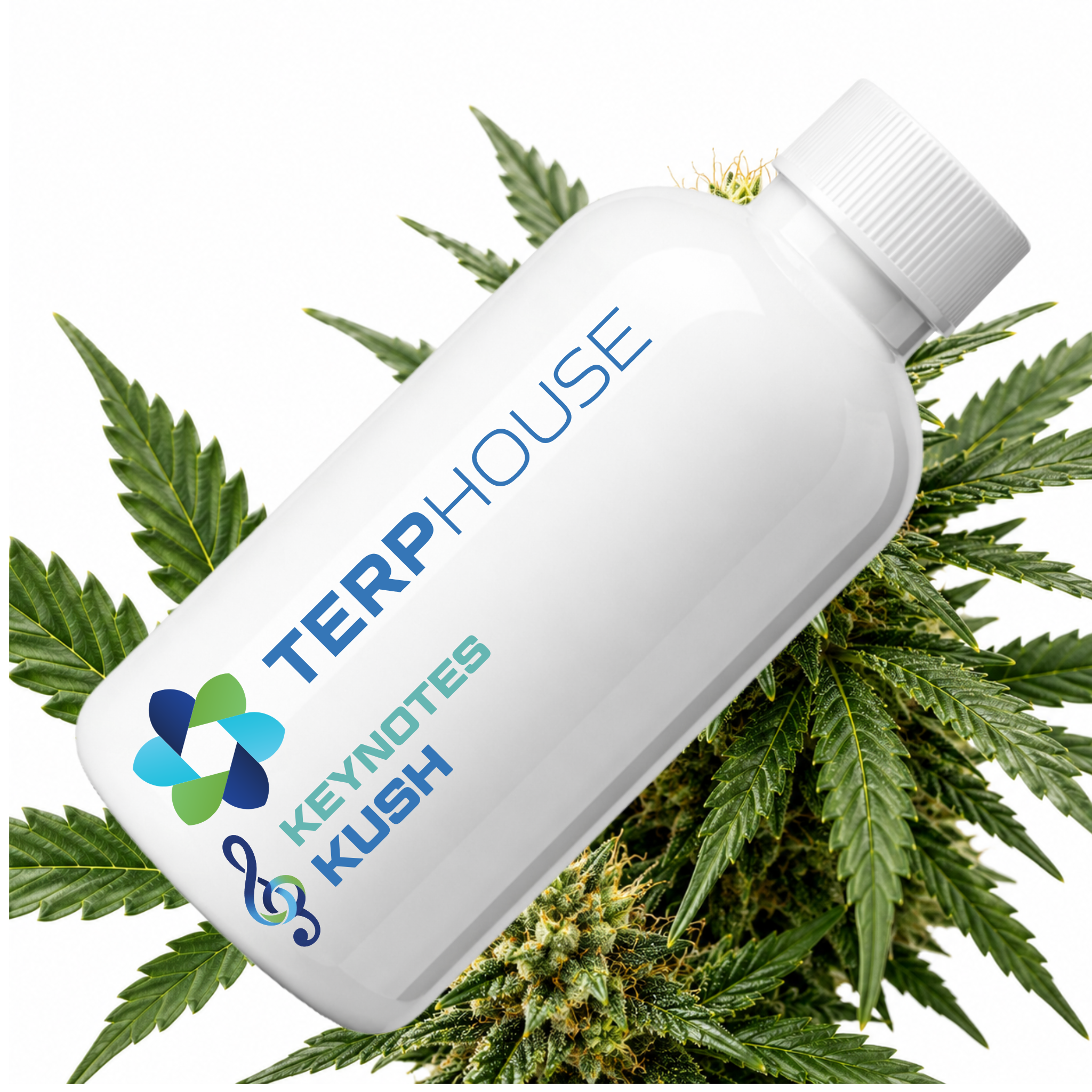 Kush Keynote Terpene von TERPHOUSE