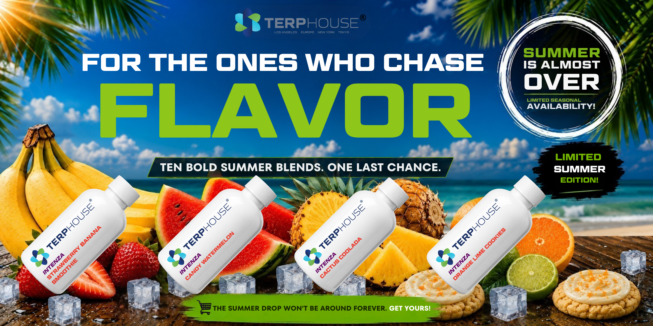 TERPHOUSE EU